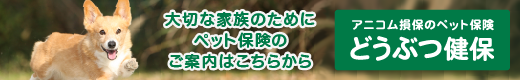 アニコム損保のペット保険商品案内へ