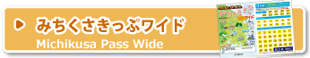 みちくさきっぷワイド